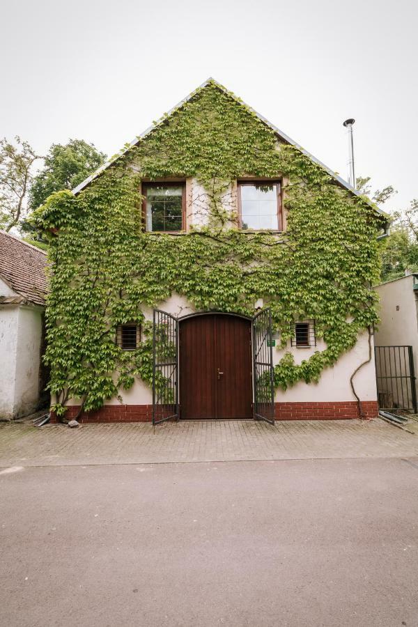 Vinny Sklep Andre Chvalovice (South Moravian) Exterior foto